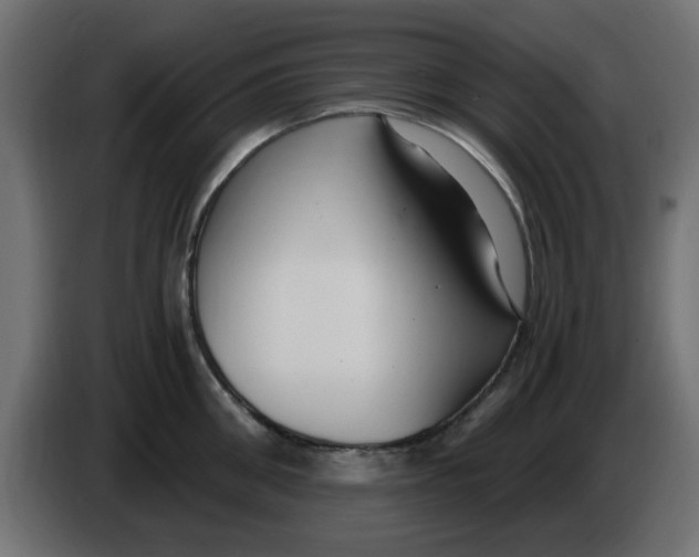 X0000083560906200703021715