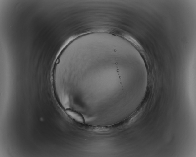 X0000083560907200703021715