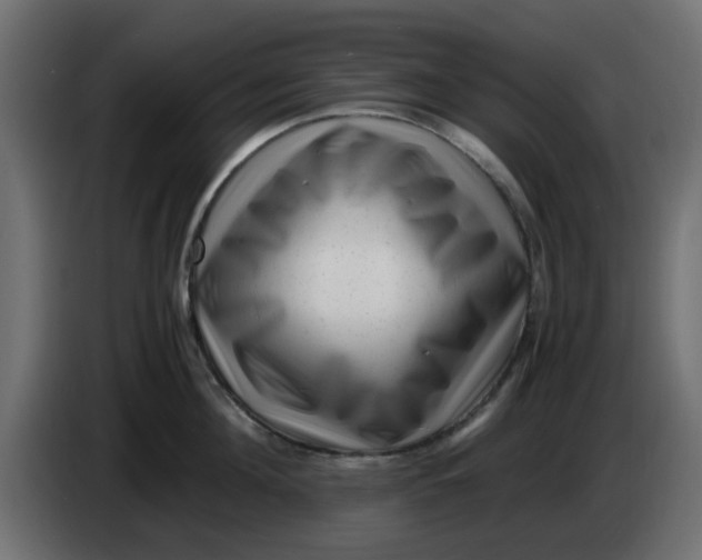 X0000083560908200703021715