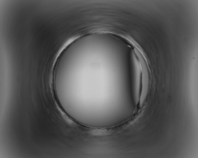 X0000083560909200703021715