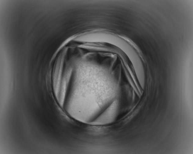 X0000083560910200703021715