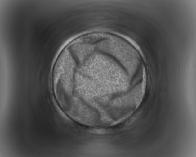 X0000083560911200703021715