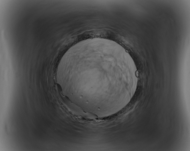 X0000083560913200703021714