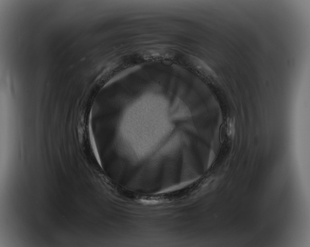 X0000083560915200703021714