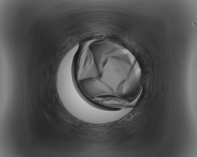 X0000083560916200703021714