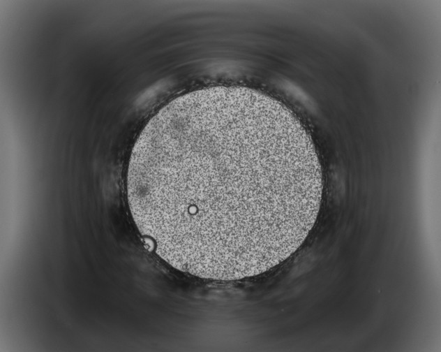 X0000083560918200703021714