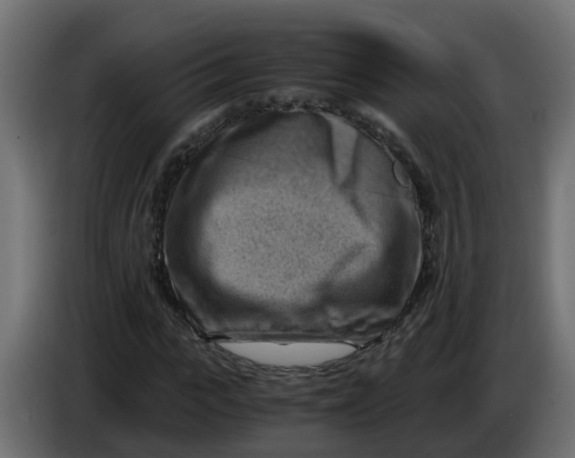 X0000083560919200703021714