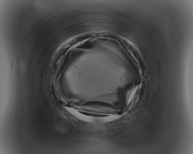 X0000083560920200703021714