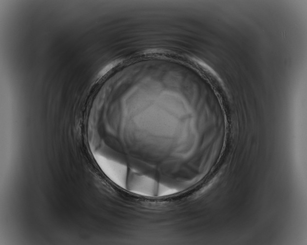 X0000083560921200703021714