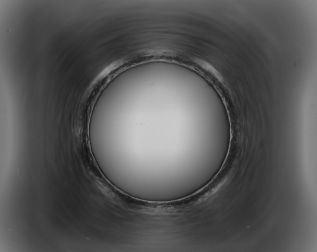 X0000083560922200703021714