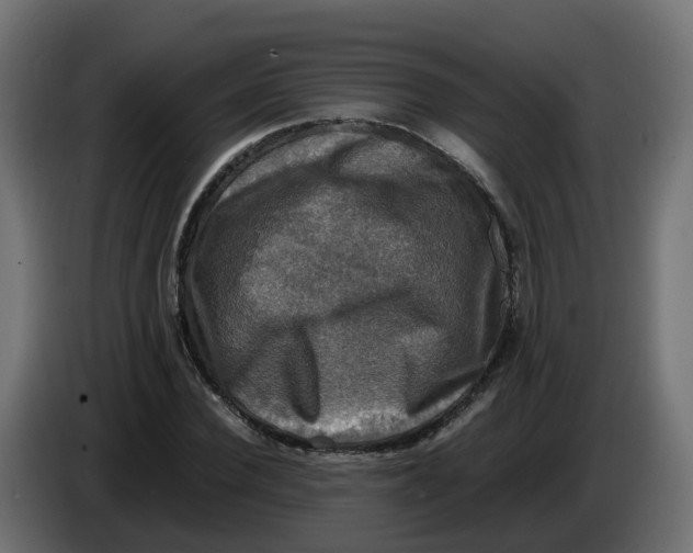 X0000083560924200703021714