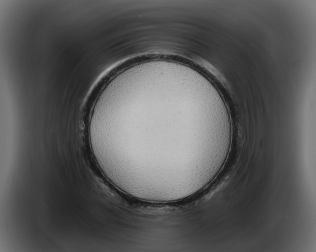 X0000083560926200703021714