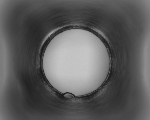 X0000083560927200703021714