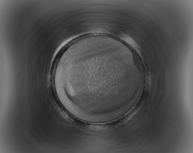 X0000083560928200703021714