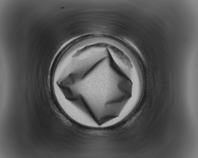 X0000083560932200703021714