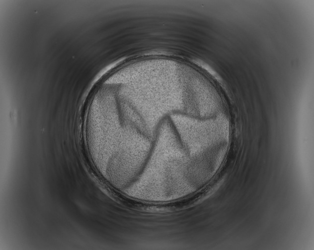 X0000083560933200703021714