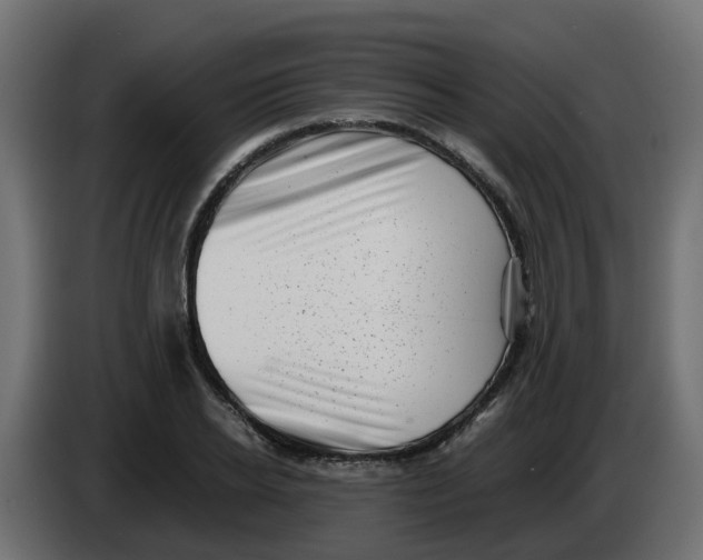 X0000083560934200703021714