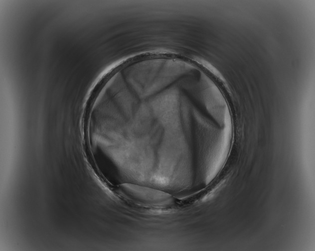 X0000083560935200703021714