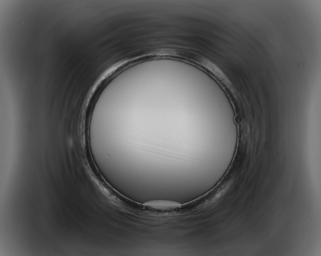 X0000083560939200703021714