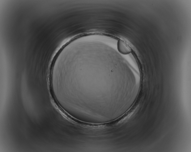 X0000083560941200703021714