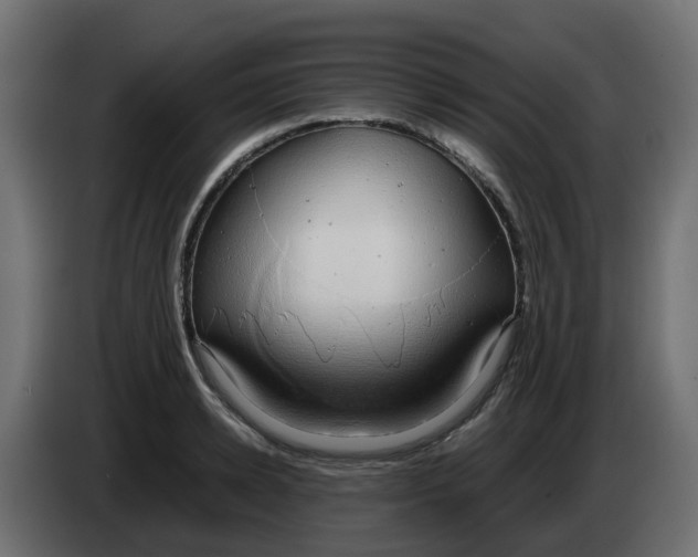 X0000083560942200703021715