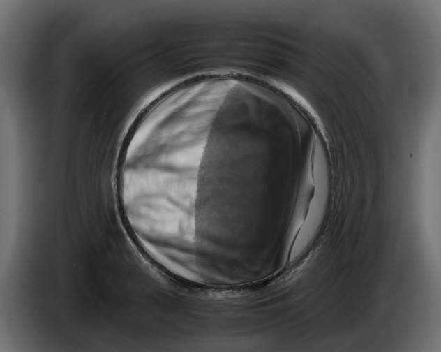 X0000083560943200703021715