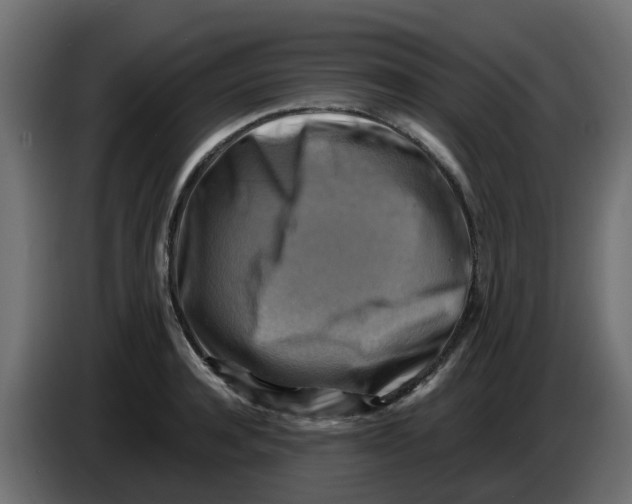 X0000083560944200703021715