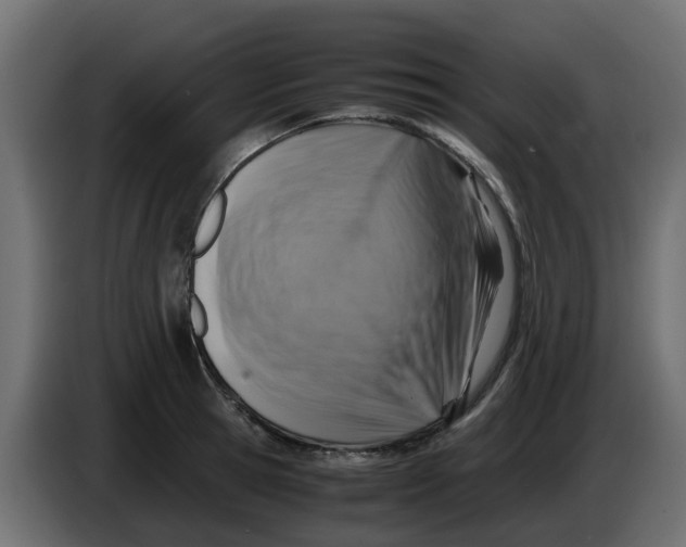 X0000083560945200703021715