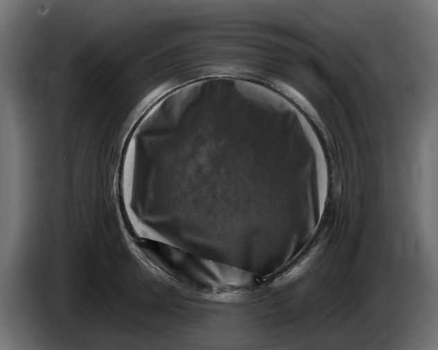 X0000083560946200703021715