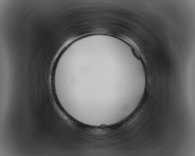 X0000083560947200703021715