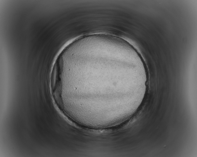 X0000083560949200703021715