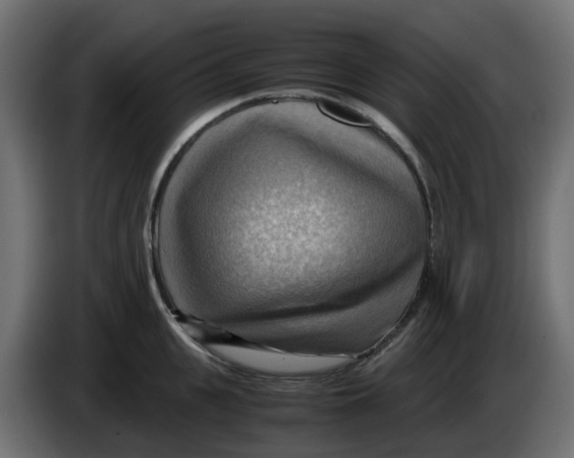 X0000083560951200703021715