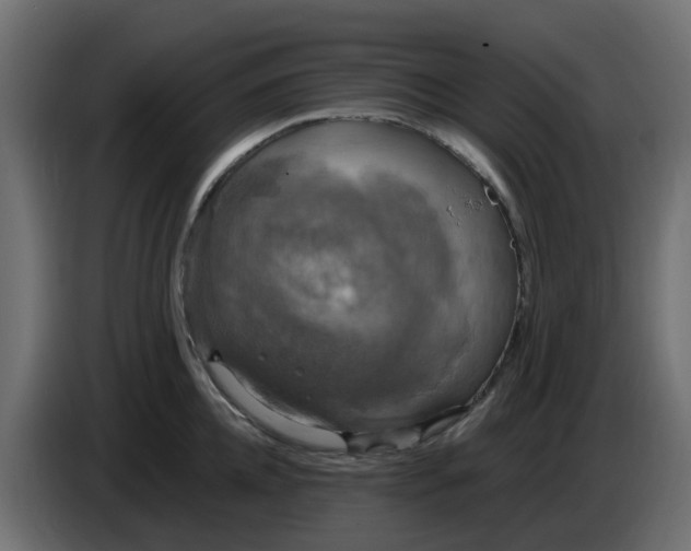 X0000083560952200703021715