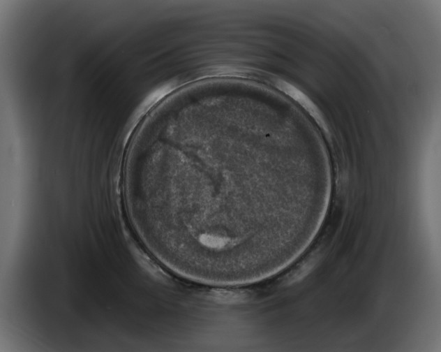 X0000083560954200703021715