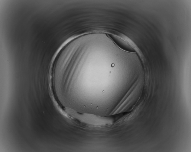 X0000083560955200703021715