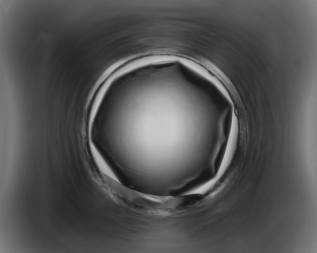 X0000083560956200703021715