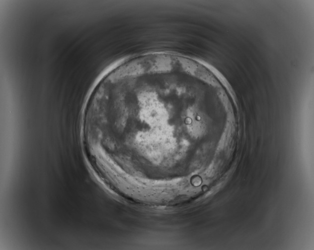 X0000083560957200703021715