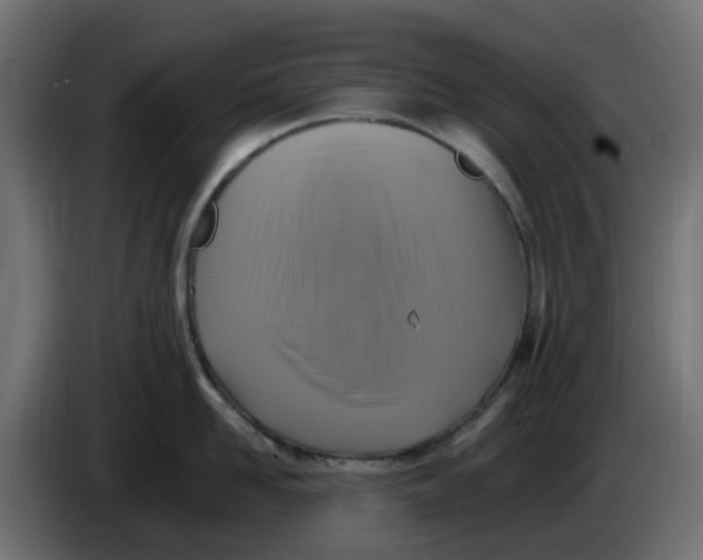 X0000083560958200703021715