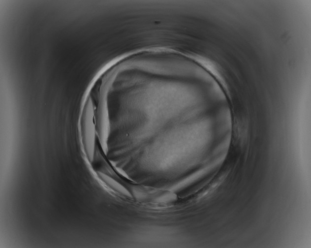 X0000083560959200703021715