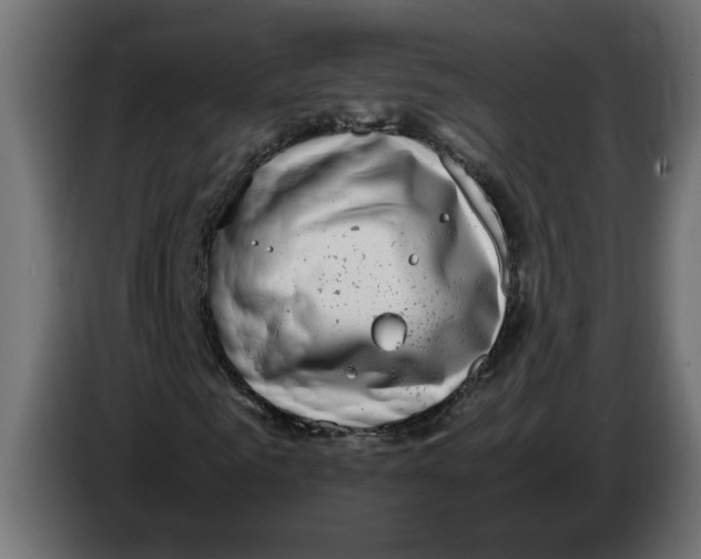 X0000083560961200703021714