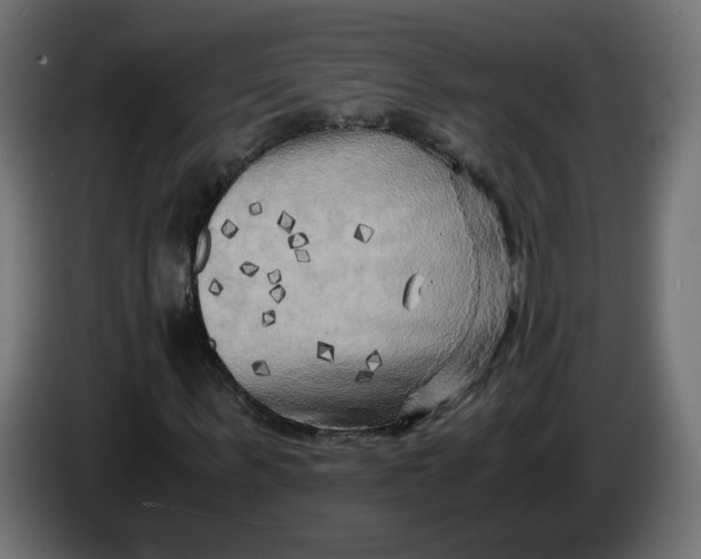 X0000083560963200703021714