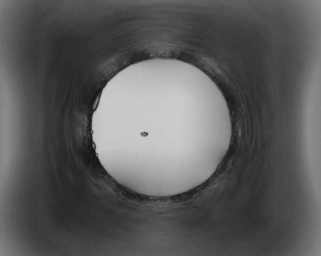 X0000083560964200703021714