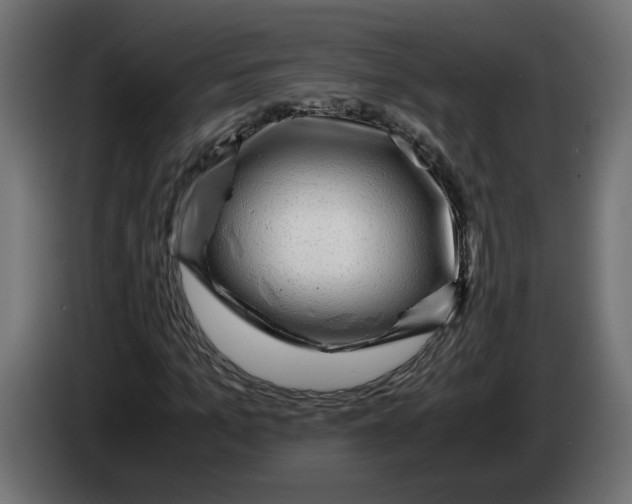 X0000083560965200703021714