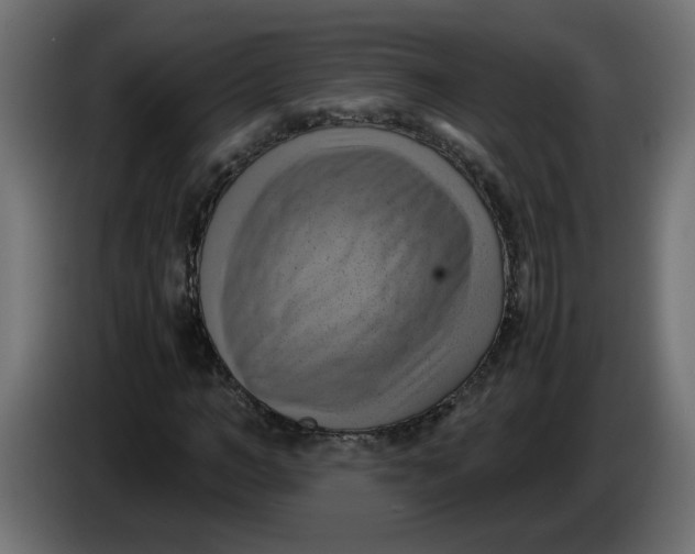 X0000083560966200703021714