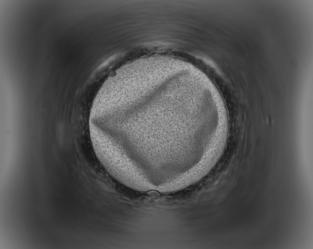 X0000083560967200703021714