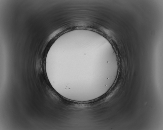 X0000083560970200703021714