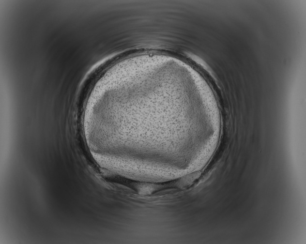 X0000083560971200703021714