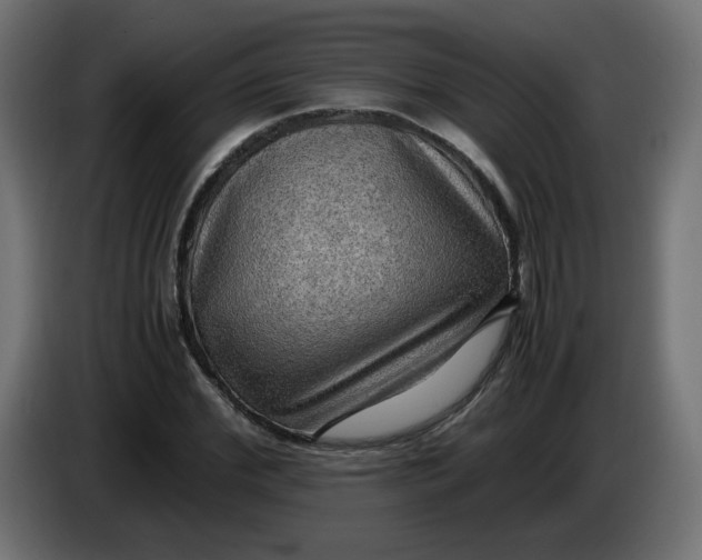 X0000083560972200703021714