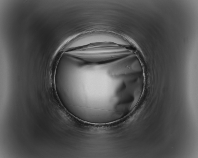 X0000083560973200703021714