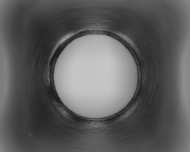 X0000083560974200703021714